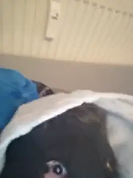 Snapshot of Bigdicklove42x chatting on February 6, 6:40 am Bigdicklove42x online show from February 6, 6:40 am