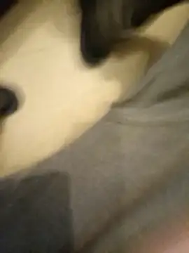 Snapshot of flo000031 chatting on January 14, 3:28 pm flo000031 online show from January 14, 3:28 pm