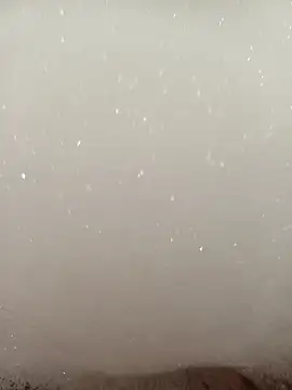 Snapshot of flo000031 chatting on January 16, 12:53 pm flo000031 online show from January 16, 12:53 pm