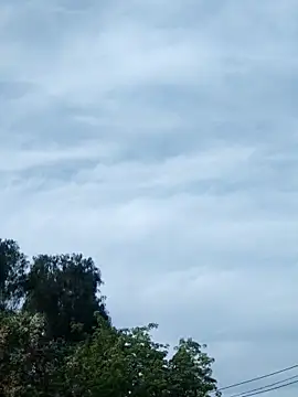 Snapshot of erinadarling79 chatting on October 16, 9:38 pm erinadarling79 online show from October 16, 9:38 pm