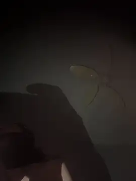 mylovebb online show from January 6, 3:43 am