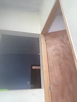 Polla21c online show from November 28, 2:53 pm