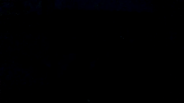 Novabear6996 online show from February 28, 10:30 am