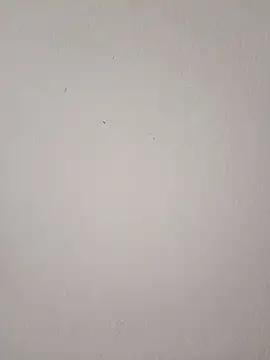 EmmaSulivan online show from March 9, 11:03 am