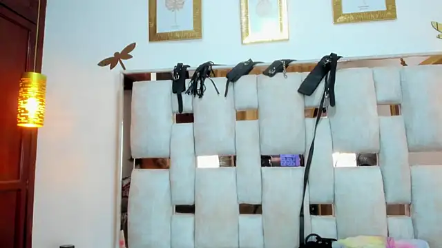 Braylen Sanchez online show from December 20, 3:08 pm