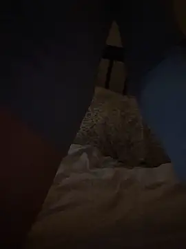 Snapshot of Hildas chatting on December 22, 9:17 am Hildas online show from December 22, 9:17 am