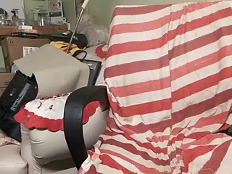 calme odl1 online show from February 9, 3:34 pm