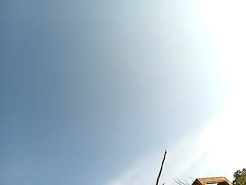 lilpip online show from November 27, 4:03 am