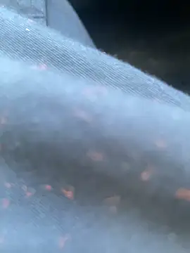 daniel21p online show from February 22, 3:25 pm