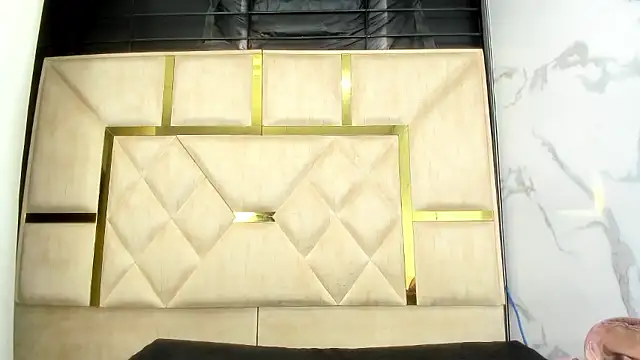 Kendall 6669 online show from January 9, 1:25 pm