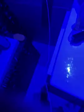 gryzoon online show from March 20, 5:12 am