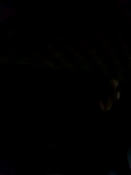 black77SL online show from December 19, 1:18 pm