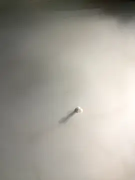 1Zoey101 online show from December 18, 6:19 am