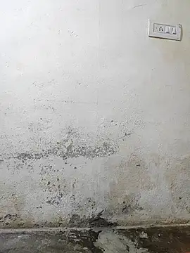 pallu telgu kannada online show from March 4, 5:30 pm