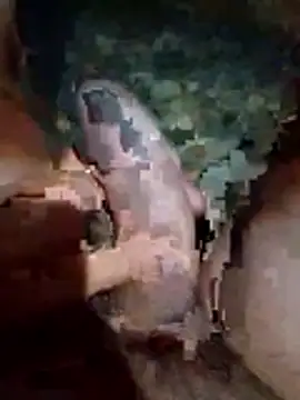 Snapshot of Luis_katya chatting on February 10, 1:32 am Luis katya online show from February 10, 1:32 am