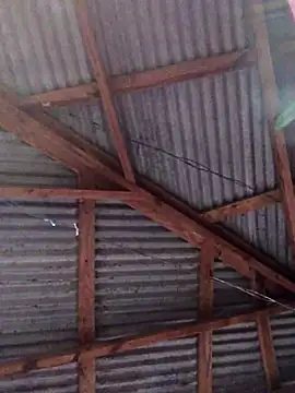 Ladyzee25 online show from November 26, 9:05 pm