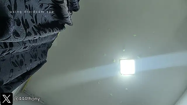 Thony444 online show from December 16, 2:16 am