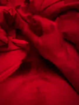 ruchacz24 online show from March 6, 2:51 am