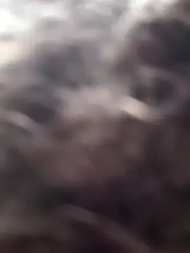 Snapshot of littledick947 chatting on March 16, 8:13 pm littledick947 online show from March 16, 8:13 pm