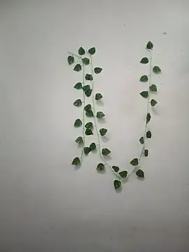 Neha-Bhabhi-Rasily online show from March 6, 4:42 am