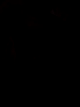 Snapshot of viviksmel chatting on October 25, 11:51 am viviksmel online show from October 25, 11:51 am