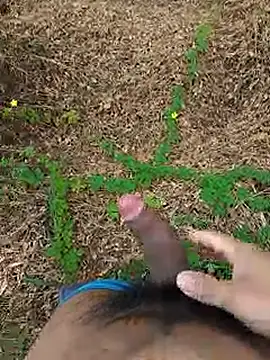 paugrosso553 online show from September 22, 11:45 am