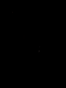 papicook online show from May 6, 4:41 am