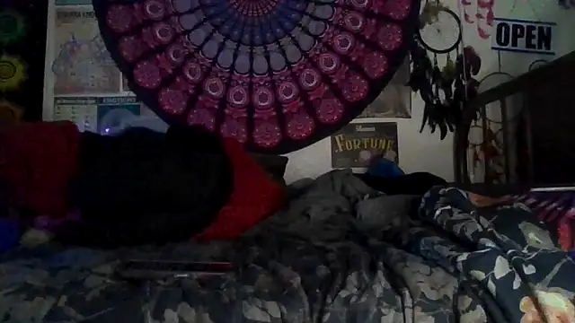 GardeniaFields online show from February 9, 8:40 am