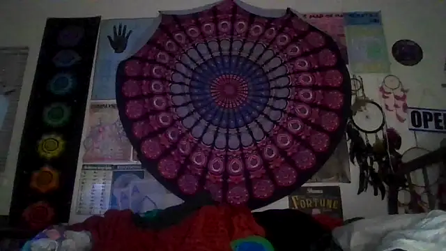 GardeniaFields online show from March 2, 9:16 am