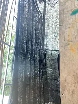 val zx online show from March 27, 5:56 pm