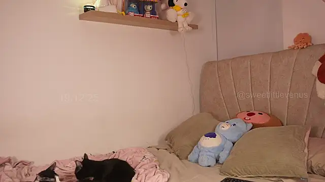 sweetlittlevenus online show from December 19, 10:06 pm