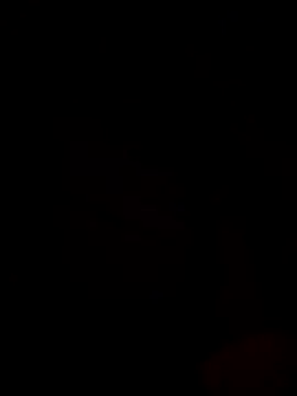 Snapshot of Ricopalote22 chatting on September 21, 9:16 pm Ricopalote22 online show from September 21, 9:16 pm