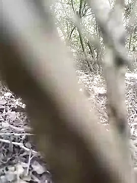 CertifiedSatisfier online show from November 12, 10:37 am