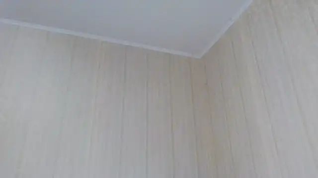 Snapshot of _Black-Panther_ chatting on October 2, 10:55 am Black-Panther online show from October 2, 10:55 am