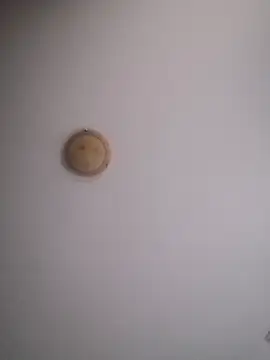 yourflowerpink online show from November 29, 8:28 am