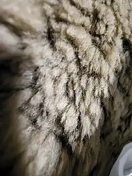 ikeike-kun online show from December 2, 1:33 am