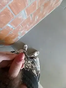 MaksDzubaV online show from March 7, 11:18 am