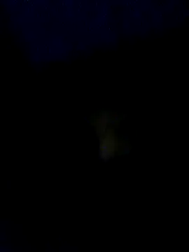 baby25cm online show from February 13, 6:15 pm