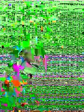 Snapshot of HenriquePhn chatting on February 6, 3:00 am HenriquePhn online show from February 6, 3:00 am