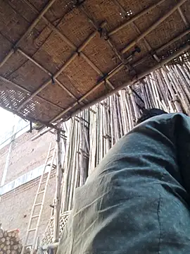 hot integer online show from February 4, 11:49 am