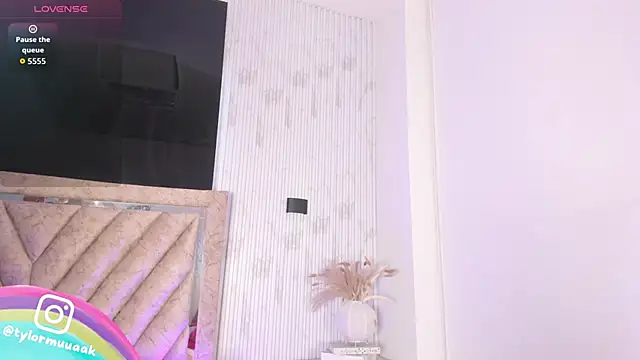 Taylor Harveey online show from November 20, 8:19 pm