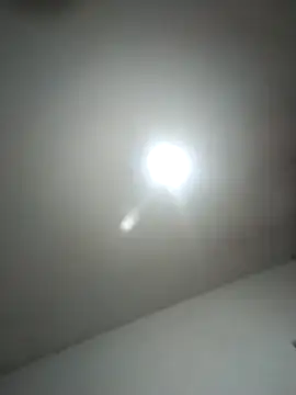 calfran online show from February 12, 5:35 am