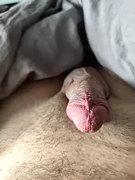 Snapshot of evi42 chatting on March 18, 11:52 am evi42 online show from March 18, 11:52 am