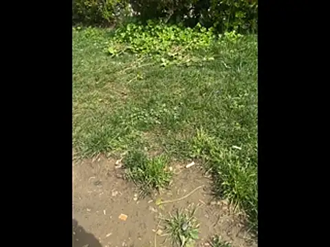 giyasbvnghkgkfk online show from April 3, 10:35 am