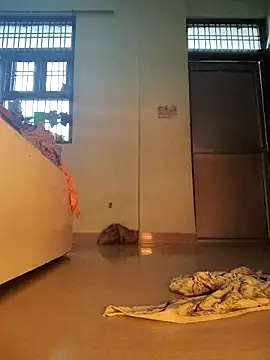 Desi Bhabi 01 online show from February 1, 9:52 am