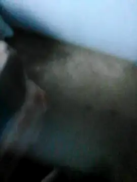 mydickbedarkandthick online show from November 21, 3:11 pm