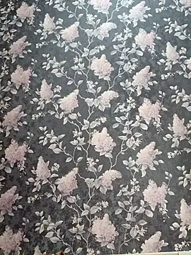 Dari Toy  online show from November 7, 1:38 am