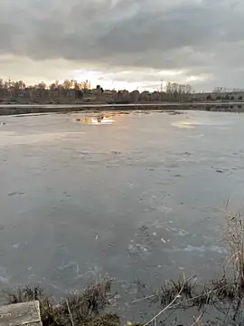 elliot scott online show from October 22, 10:37 am