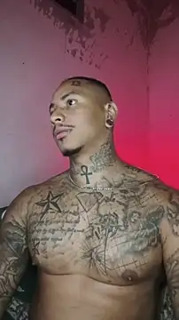 David tatto1 online show from February 14, 3:58 am