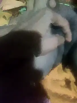 Snapshot of sshrichandra chatting on November 13, 8:08 pm sshrichandra online show from November 13, 8:08 pm